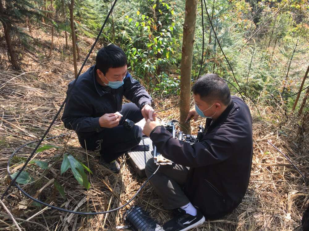 附件：長泰分公司技維部.JPG