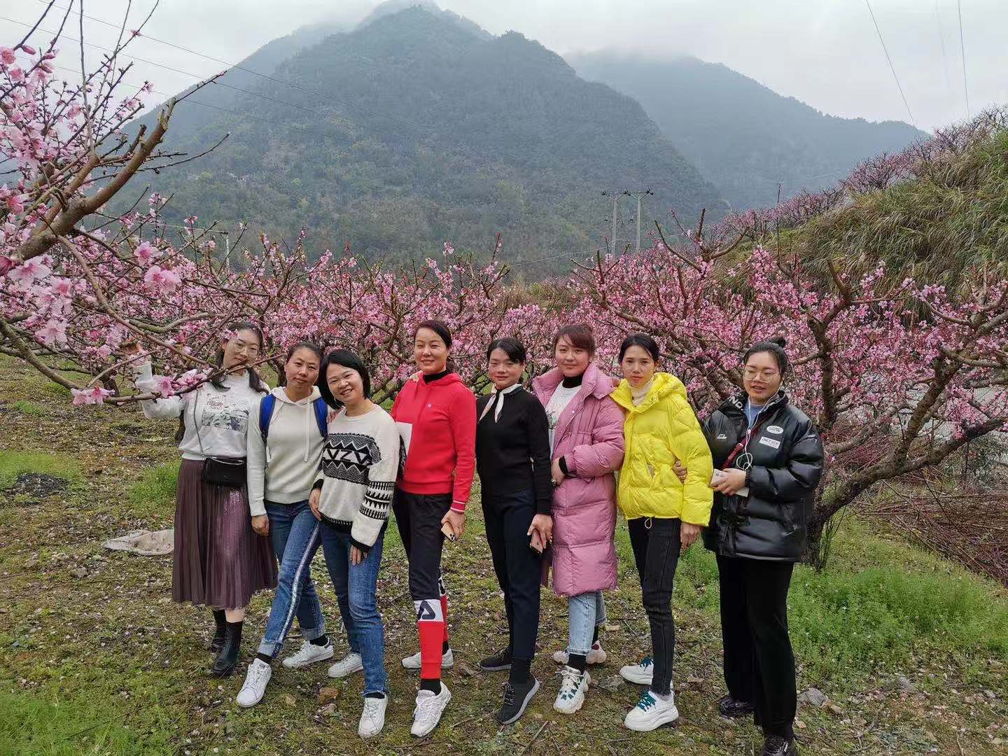 桃花園駐足.jpg